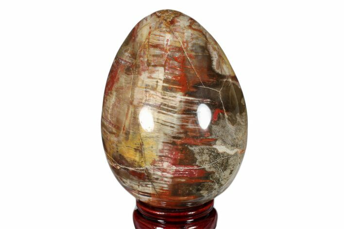 Colorful, Polished Petrified Wood Egg - Madagascar #172528
